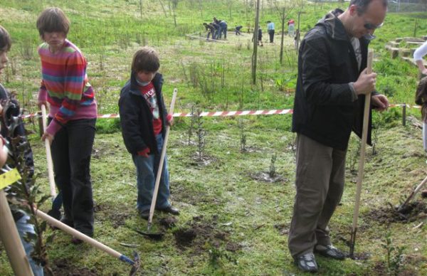 Limpar a Póvoa de resíduos e plantar novas árvores em fim-de-semana pelo Ambiente