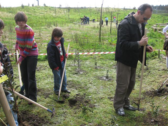 Limpar a Póvoa de resíduos e plantar novas árvores em fim-de-semana pelo Ambiente