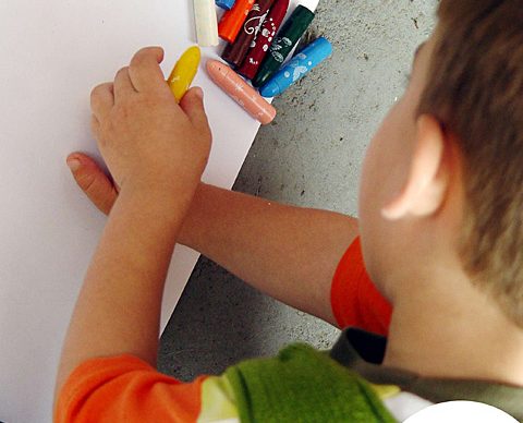 Postais de Natal amigos do Ambiente