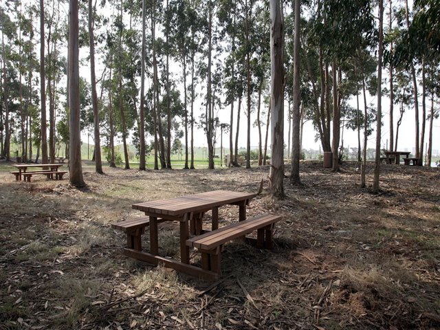 Parque da Cidade já conta com mesas de piquenique
