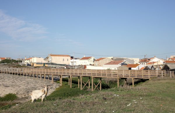 Um passeio pelas dunas de Aguçadoura