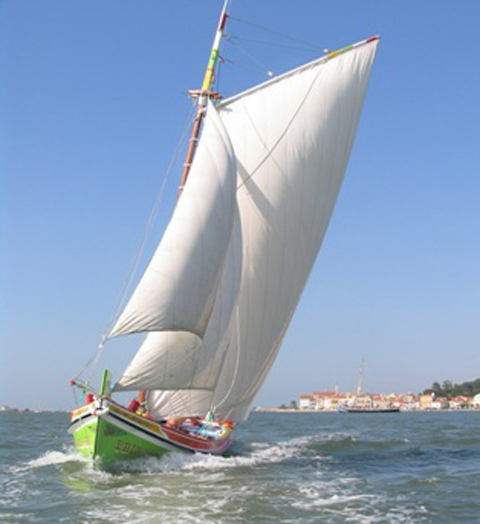 Regata de Natal 2007
