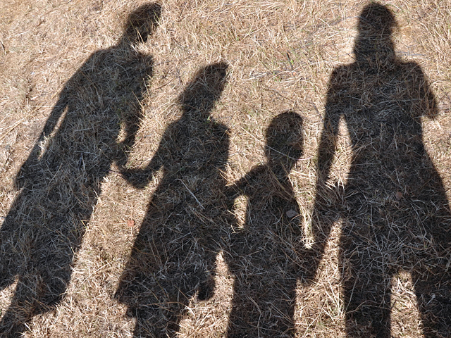 Munícipes poveiros podem usufruir de PMES
