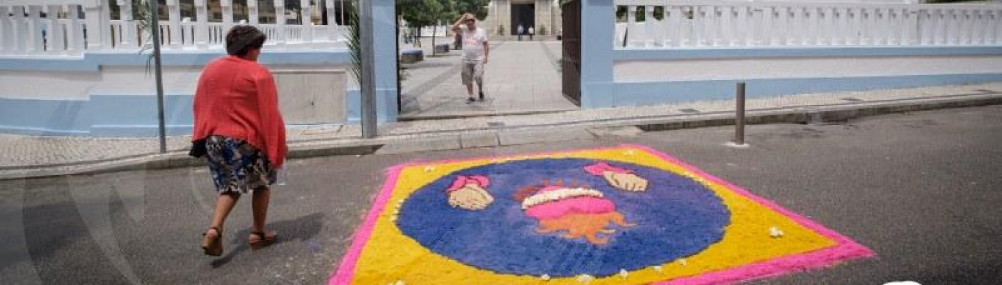 Tapetes de flores: uma tradição da Festa de Nossa Senhora do Desterro