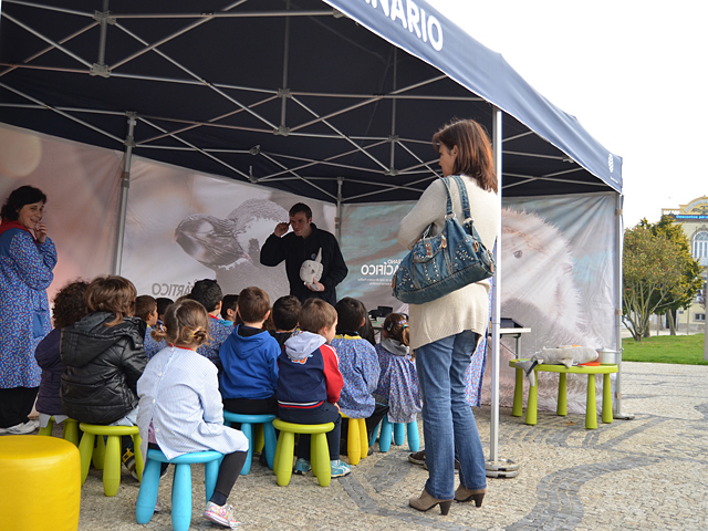 vaivém oceanário vaivém oceanário
