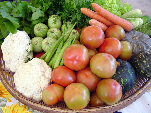 Feira de Produtos da Terra angaria fundos para obra do Centro Paroquial