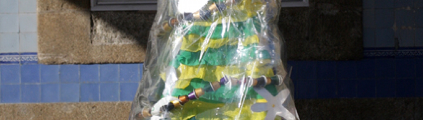 Eco-Pinheiros 2008 4