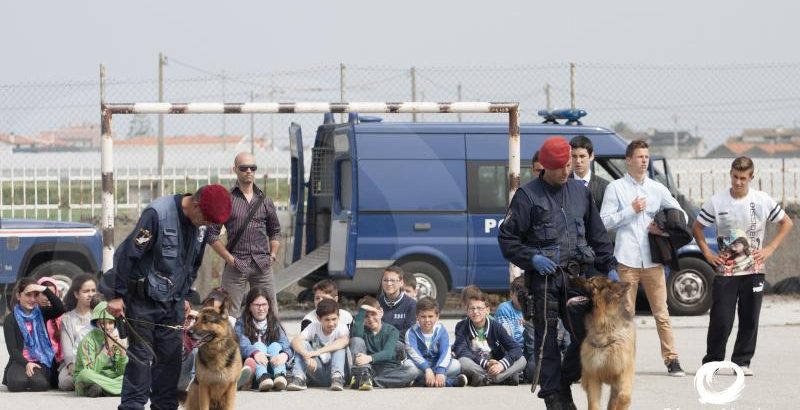 Demonstração do Grupo Cinotécnico da Polícia de Segurança Pública 24