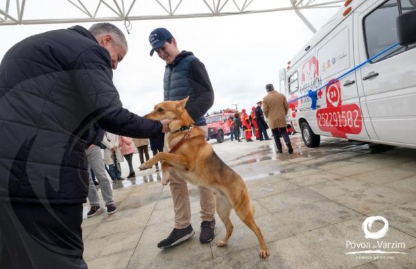 Ambulância Animal