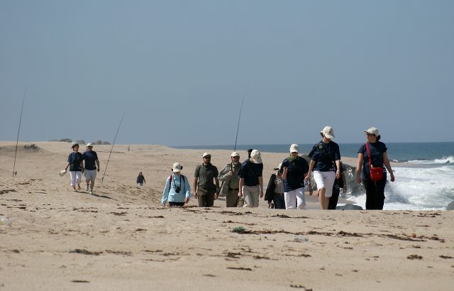 Ecocaminhadas 13