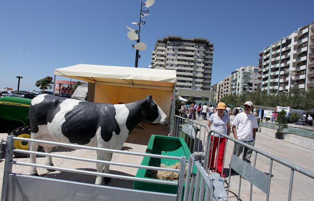 Áreas de atividade - Coesão Social - Plano Municipal de Prevenção Primária das Toxicodependências - Actividades - Fórum de Saídas e Opções Profissionais - Fórum Formação e Opções Profissionais 2011