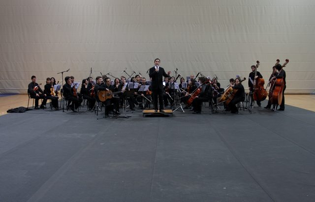 Áreas de atividade - Cultura - Escola de Música - Áreas de Actividade - Concerto Promenade