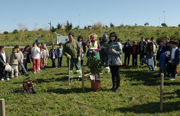 Áreas de atividade - Ambiente - Dia Mundial da Árvore 2013