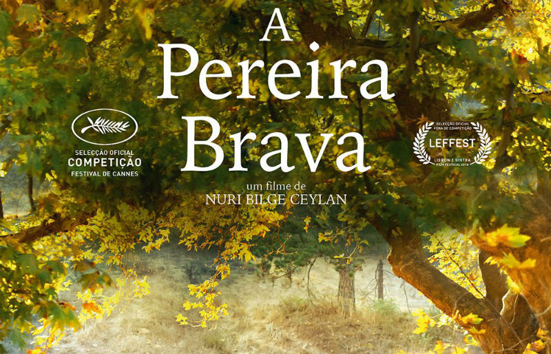 "A pereira brava"