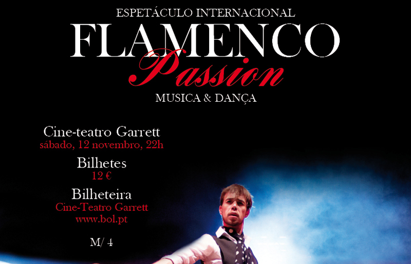 Flamenco Passion