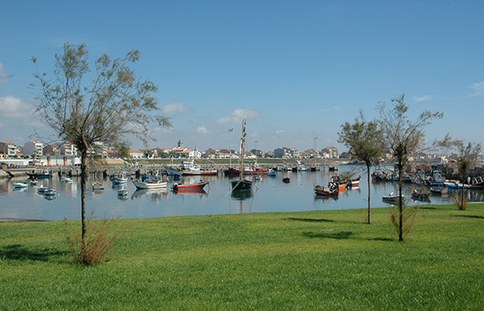 Porto de abrigo