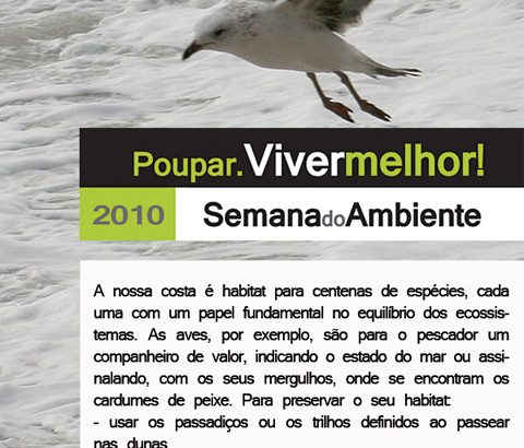 Áreas de atividade - Ambiente - Campanha "Póvoa de Varzim, um concelho de Bom Ambiente" - Semana do Ambiente 2010 - EcoPostais 1