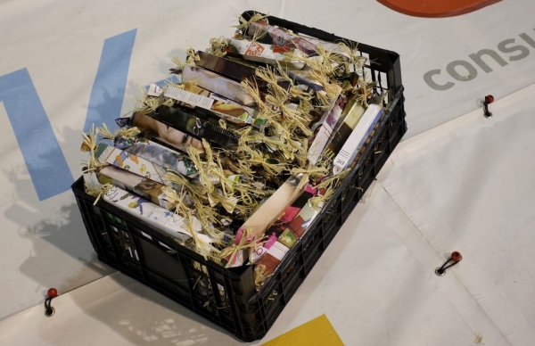 Dia Mundial da Árvore