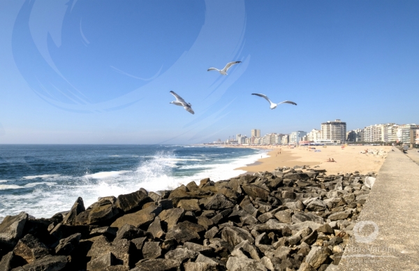 No Regresso… o Novo Portal Municipal voltado para o Futuro!