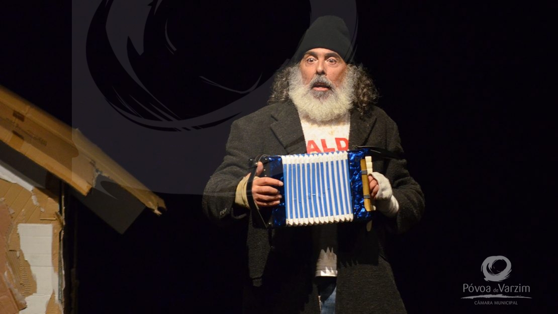 Viram o meu cão? 12