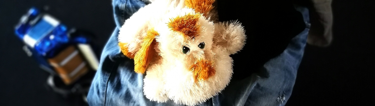 Vocês viram o meu cão?