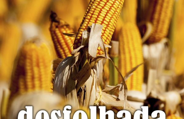 Desfolhada no Diana Bar