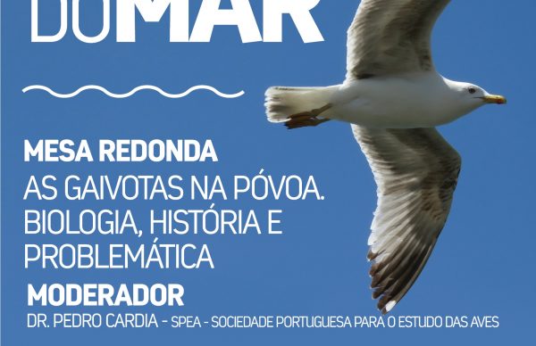 As Gaivotas na Póvoa. Biologia, História e Problemática