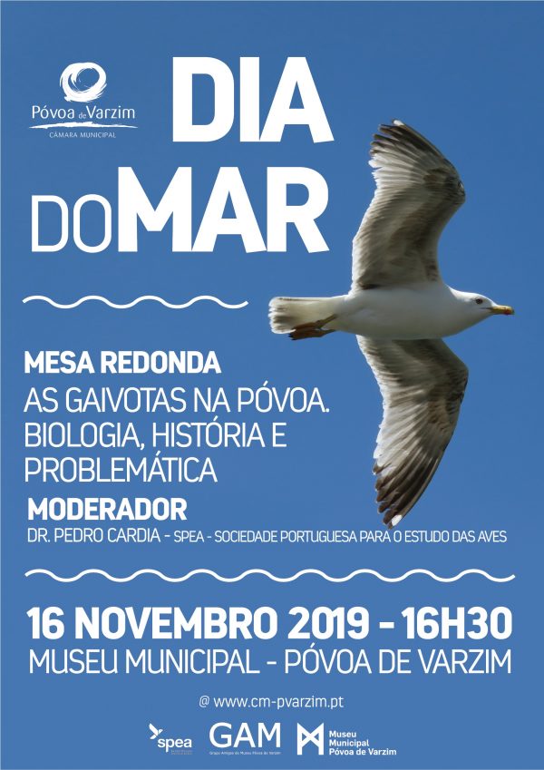 Dia Internacional do Mar: Mesa Redonda "As Gaivotas na Póvoa. Biologia, História e Problemática"