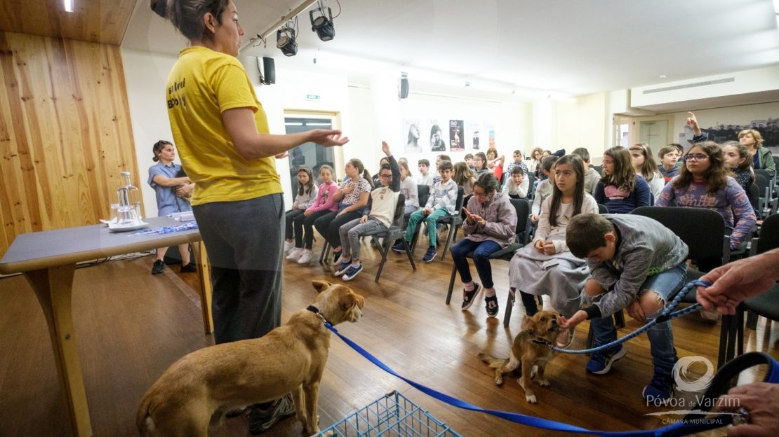 Dia Mundial do Animal na Biblioteca 10
