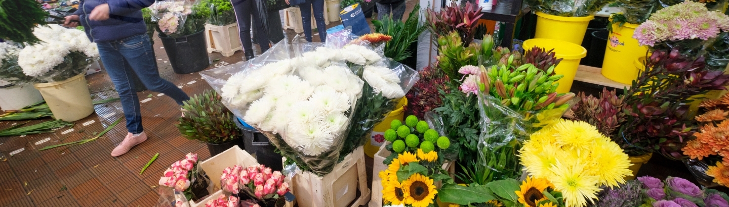 Mercado Aberto de Flores 2019 4