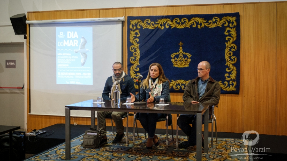 As Gaivotas na Póvoa. Biologia, História e Problemática 9