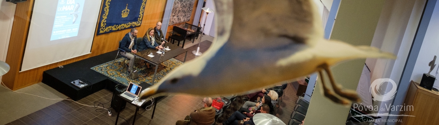 Museu assinala Dia do Mar com reflexão acerca da alteração de hábitos das gaivotas