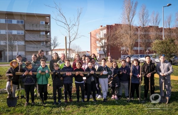 Crianças poveiras plantam o futuro