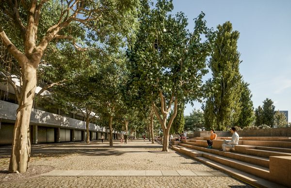 Câmara pretende dar segunda oportunidade a zona Norte da cidade