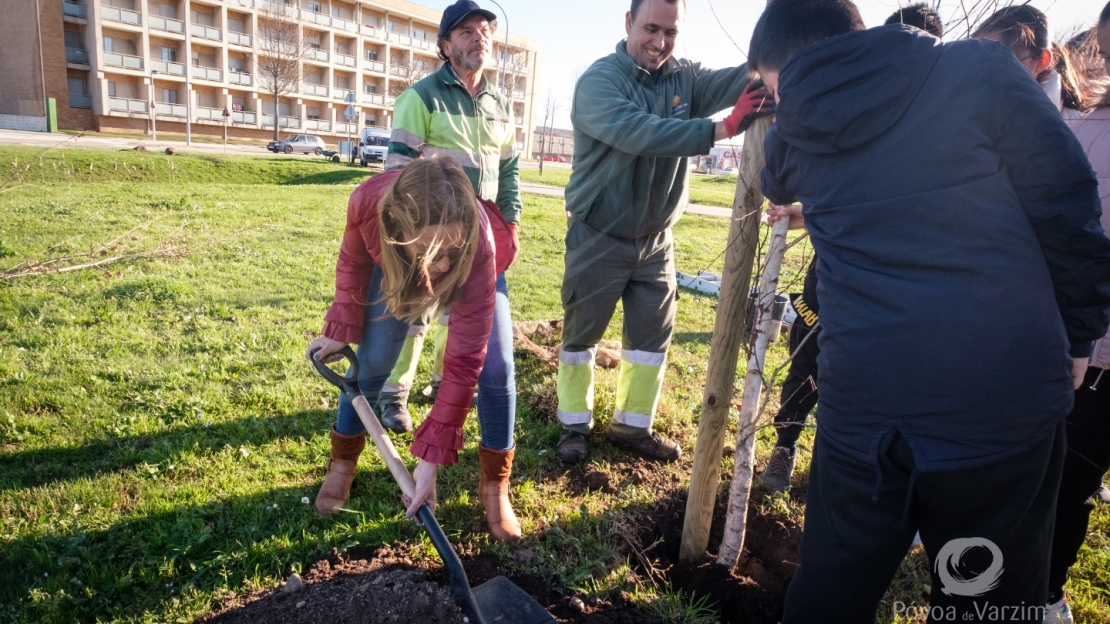 Rascunho automático 407