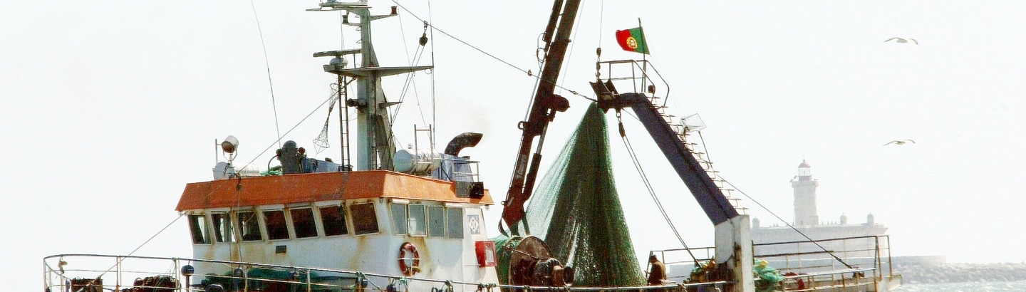 Apoio às medidas de proteção contra a Covid-19 nas pescas e aquicultura
