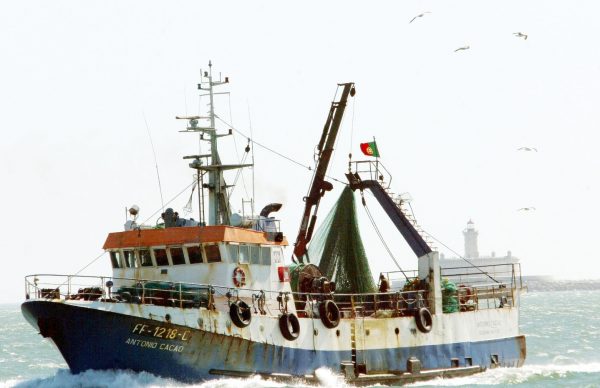 Apoio às medidas de proteção contra a Covid-19 nas pescas e aquicultura