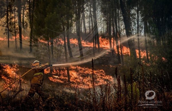 Aprovado Plano Operacional Municipal 2020