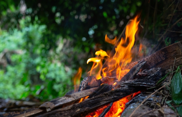 Risco de Incêndio Rural força prolongamento de situação de alerta em Portugal continental