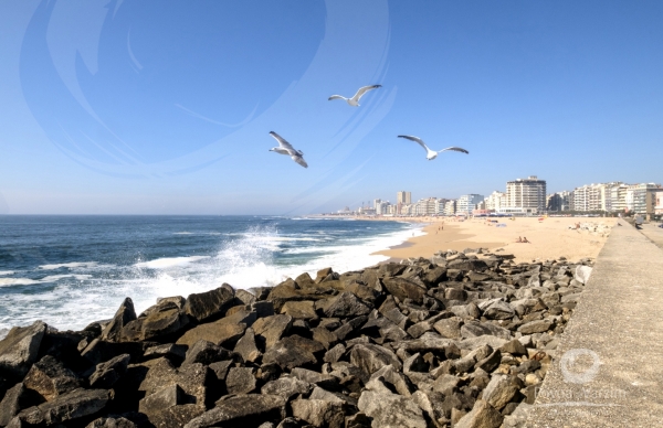 Esclarecimento sobre desaconselhamento temporário de banhos em sete praias do concelho