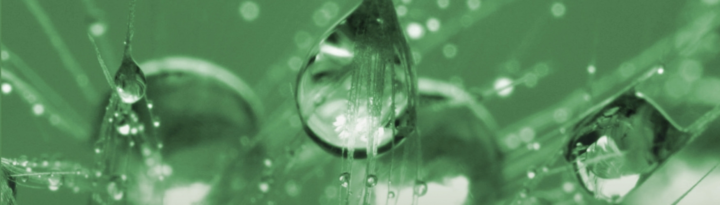 O papel das escolas durante a pandemia