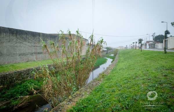 Obras de recuperação das ribeiras da Barranha e das Pedras Negras em Aguçadoura