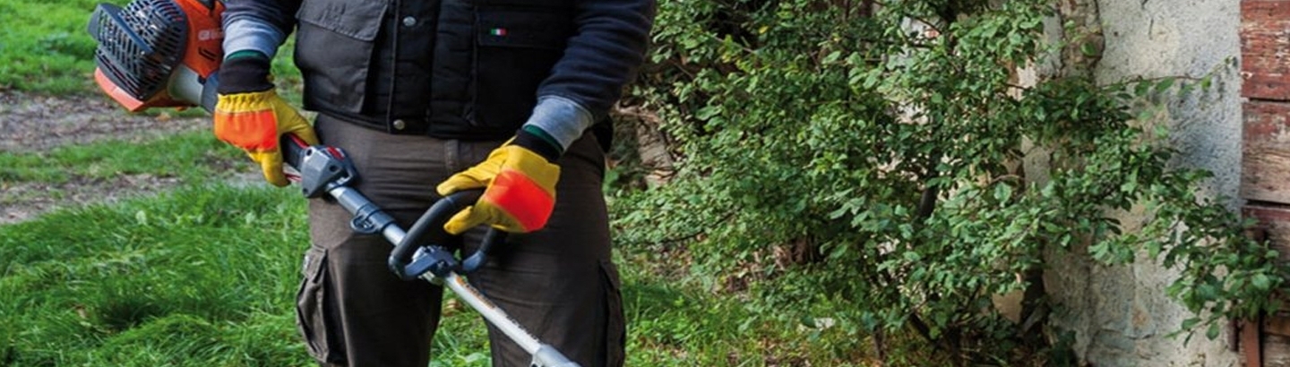 Fim do prazo para limpeza de terrenos florestais