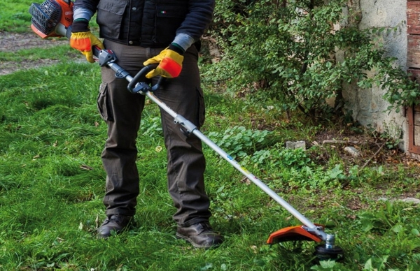 Fim do prazo para limpeza de terrenos florestais