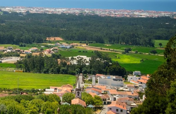 Aberta discussão pública do Plano Municipal de Defesa da Floresta contra Incêndios