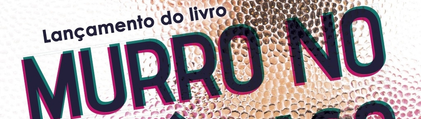 Apresentação de livro “Murro no Estômago” sobre violência doméstica