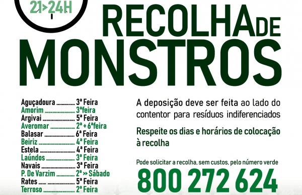 Hoje, há Recolha de Monstros Domésticos em Beiriz, Estela e Póvoa de Varzim