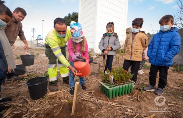 Plantação de árvores marca Dia da Floresta Autóctone