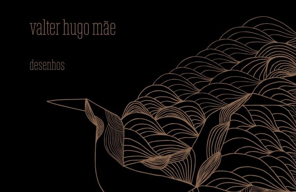 Exposição<em> Parece um pássaro, mas é um pirilampo ou um louva-a-deus </em>