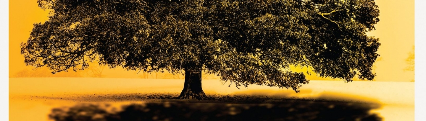 Lançamento do livro As Sombras de Uma Azinheira